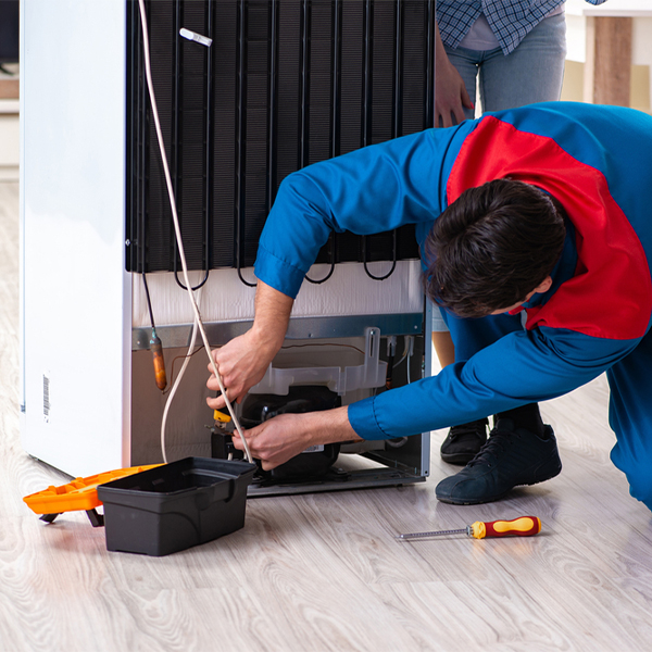 what are the signs that indicate my refrigerator needs repair in Dutchtown